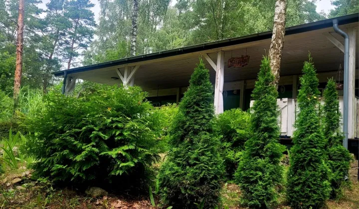 Działka rekreacyjna Guty Rożyńskie