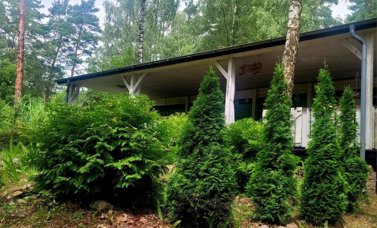 Działka rekreacyjna Guty Rożyńskie