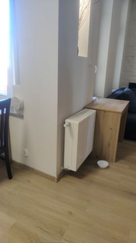 Mieszkanie 1-pokojowe Poznań Jeżyce, ul. Maksymiliana Jackowskiego. Zdjęcie 12