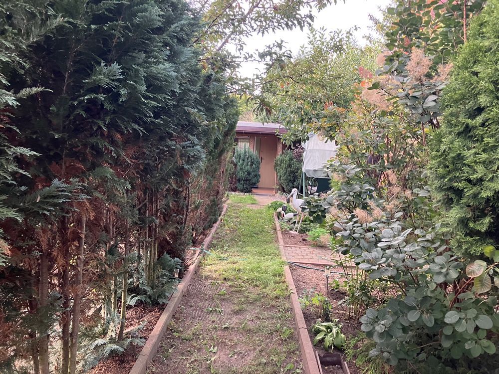 Działka rod Głowno. Zdjęcie 2