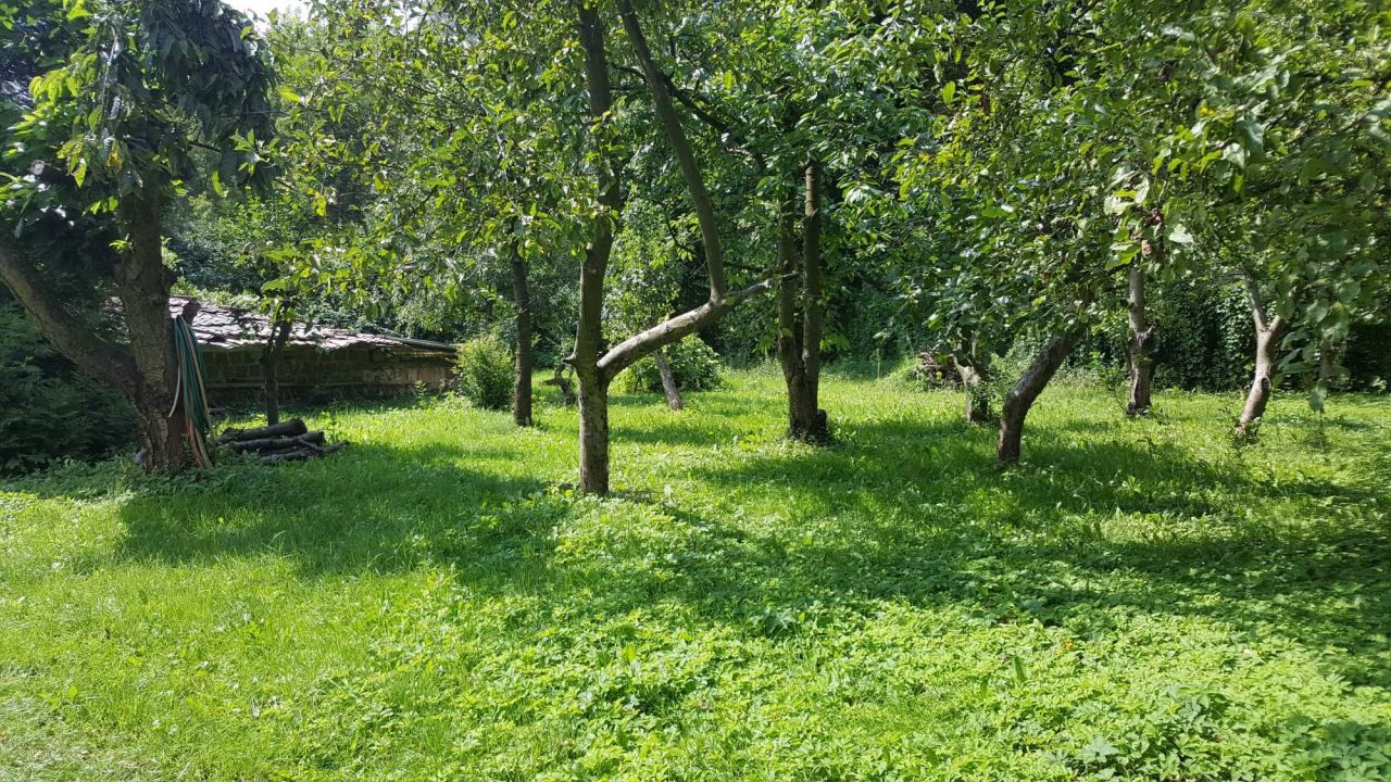 Działka rekreacyjna Toruń, ul. Stanisława Przybyszewskiego. Zdjęcie 1