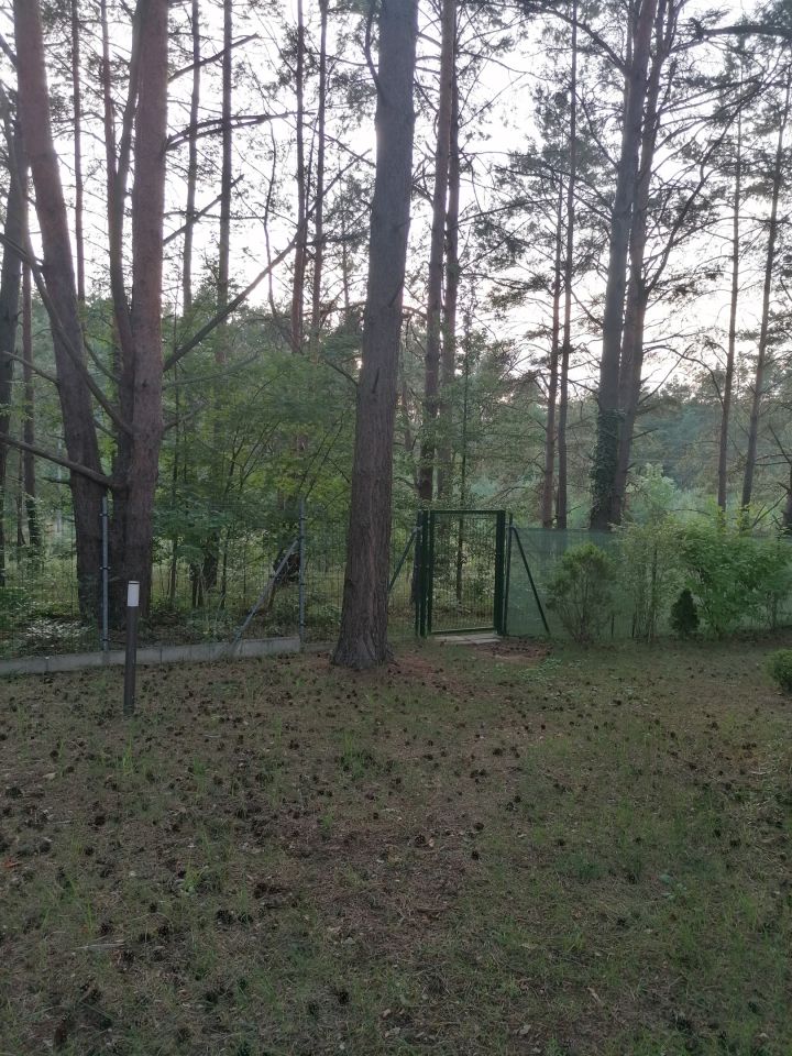 Działka siedliskowa Chwalęcice. Zdjęcie 9