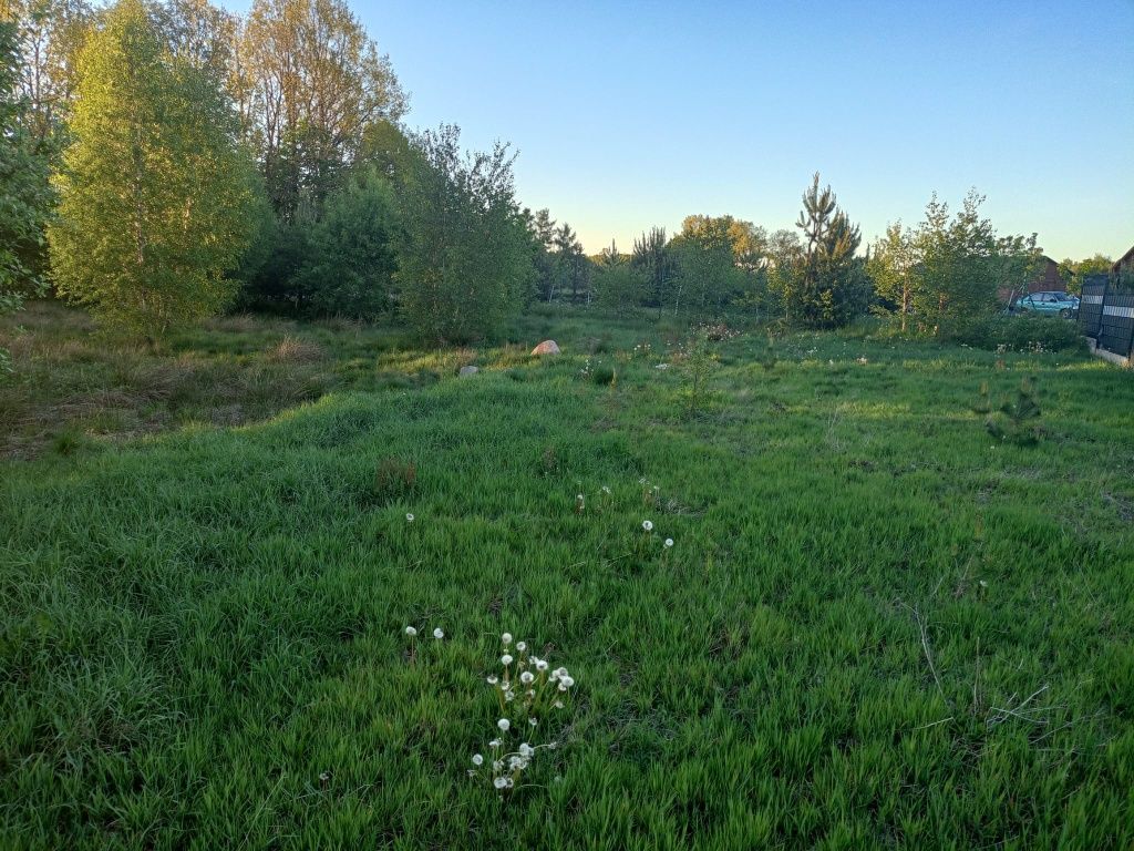 Działka budowlana Jeleńska Huta. Zdjęcie 4