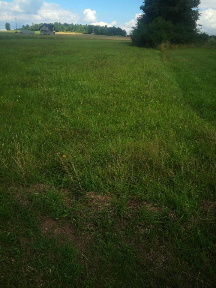 Działka rolno-budowlana Lasocin. Zdjęcie 1