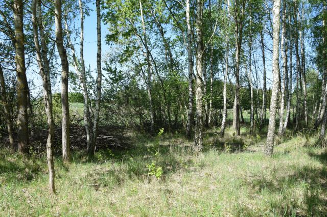 Działka budowlana Zawieprzyce-Kolonia. Zdjęcie 1