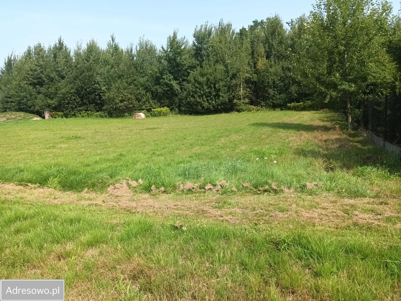 Działka budowlana Sułkowice