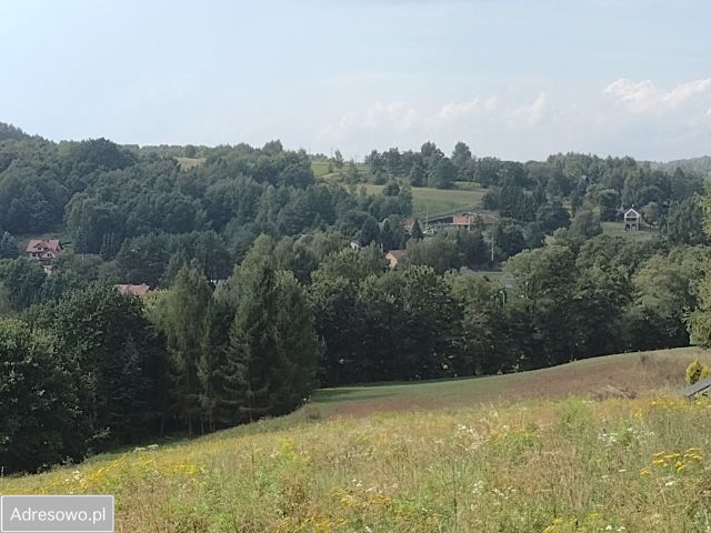 Działka budowlana Brzoskwinia. Zdjęcie 1