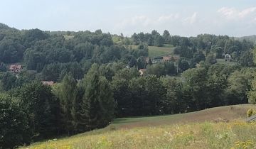 Działka budowlana Brzoskwinia