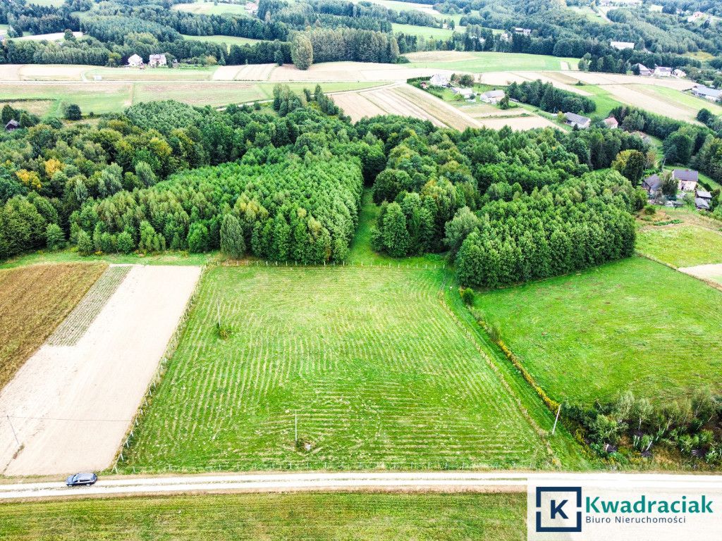 Działka budowlana Huta Gogołowska. Zdjęcie 11