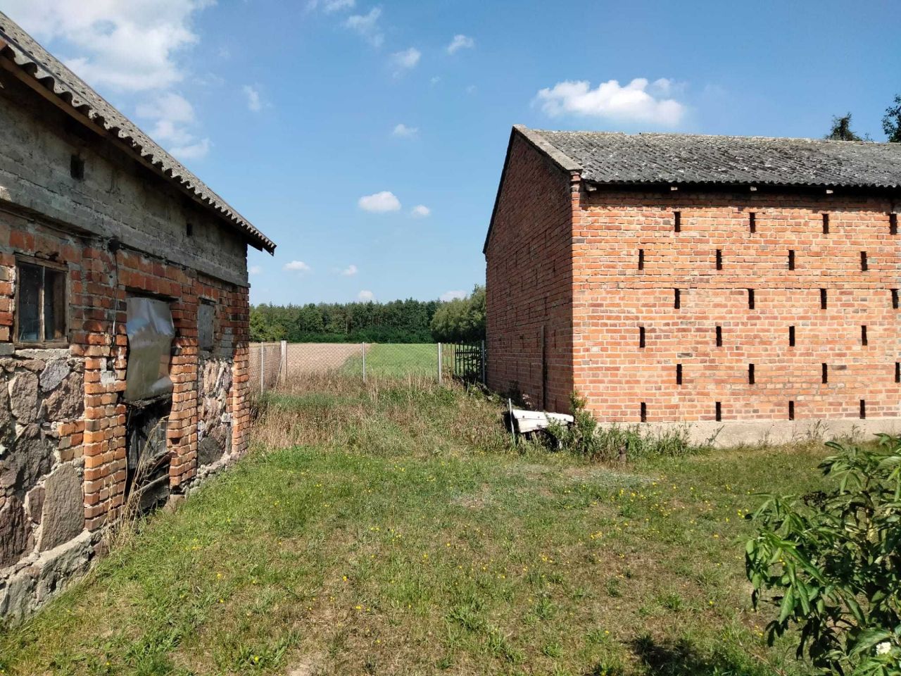 gospodarstwo, 3 pokoje Kondrajec Pański. Zdjęcie 3