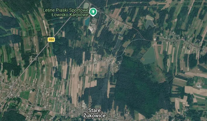 dom wolnostojący, 6 pokoi Stare Żukowice, bez nazwy