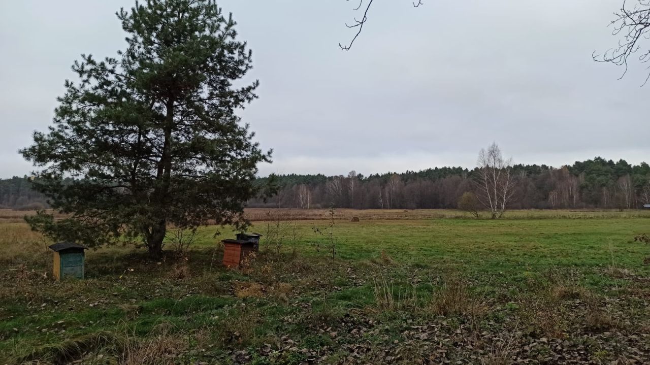 Działka rolna Doleck. Zdjęcie 6