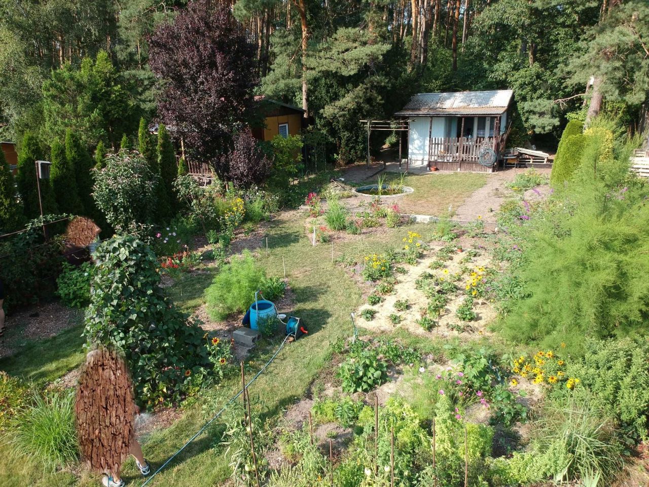 Działka rod Toruń. Zdjęcie 6