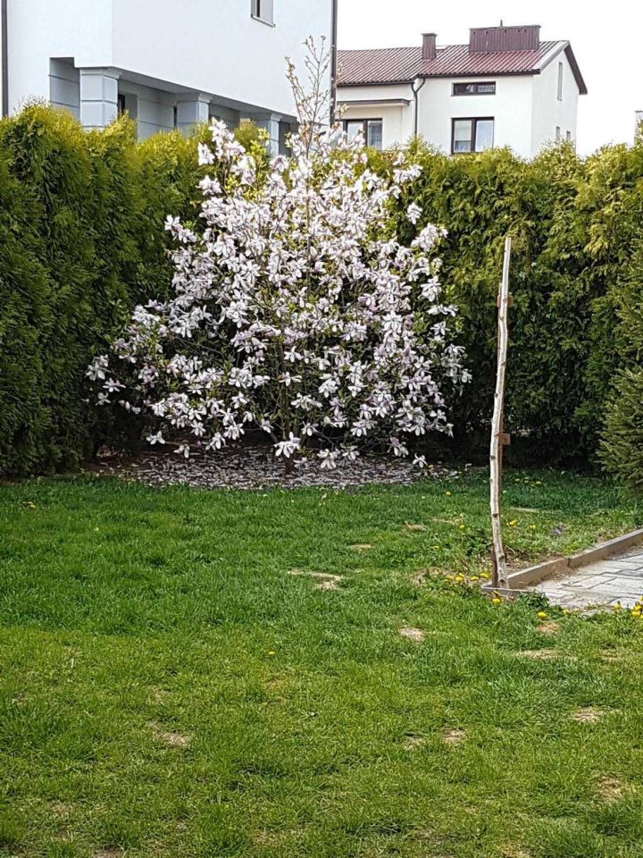 dom wolnostojący Sandomierz Centrum, ul. Różana. Zdjęcie 3