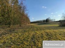 Działka rolna Gutkowo. Zdjęcie 1