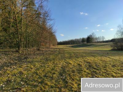 Działka rolna Gutkowo. Zdjęcie 2