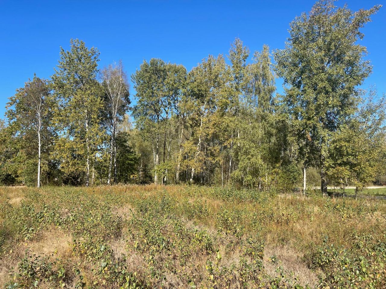 Działka budowlana Żabieniec. Zdjęcie 8