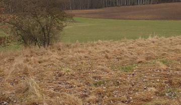 Działka rolno-budowlana Stramniczka