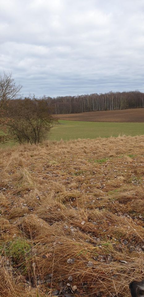 Działka rolno-budowlana Stramniczka. Zdjęcie 2
