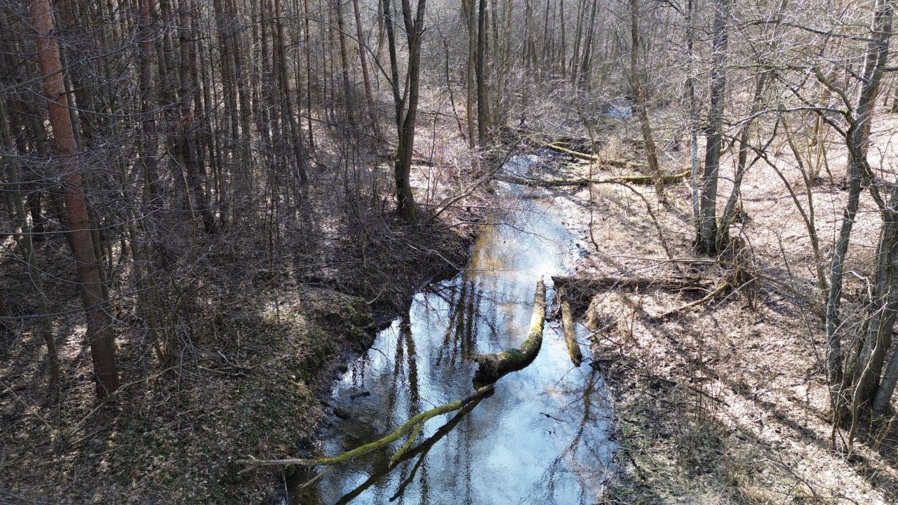 Działka rolna Parszów. Zdjęcie 5