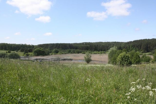 Działka rolno-budowlana Barczewko. Zdjęcie 1