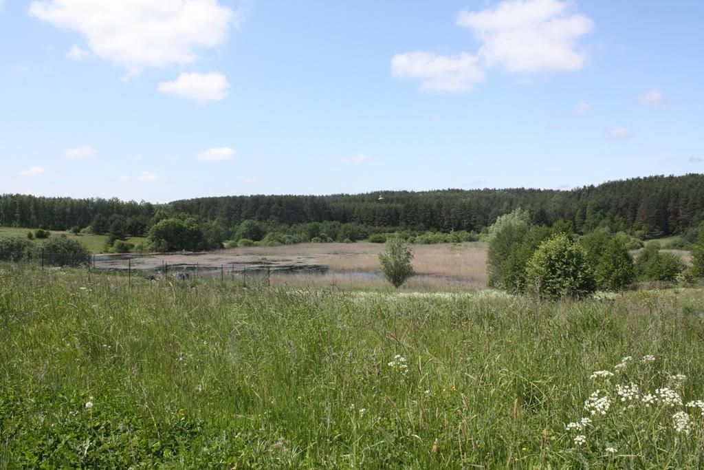 Działka rolno-budowlana Barczewko. Zdjęcie 1