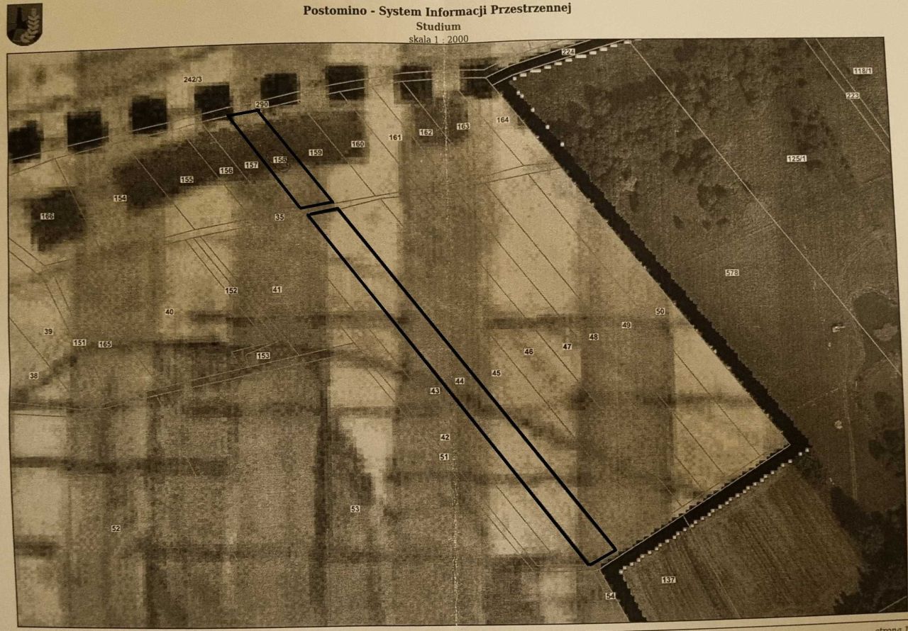 Działka rolna Pałowo. Zdjęcie 4