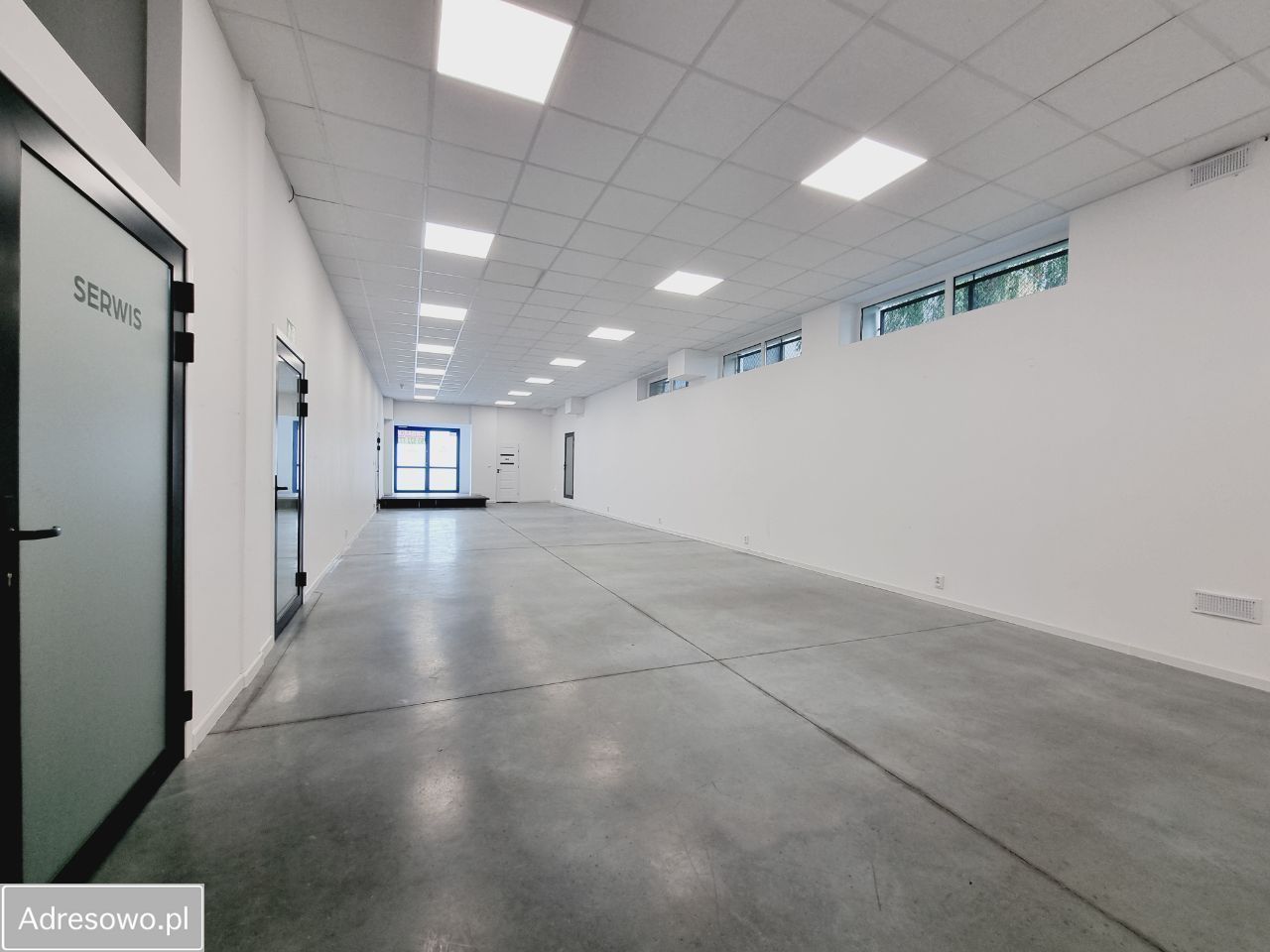 Lokal Olsztyn Osiedle Generałów, ul. Rotmistrza Witolda Pileckiego. Zdjęcie 4