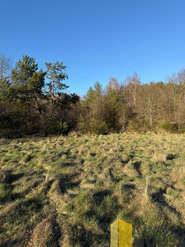 Działka rolna Gardna Wielka. Zdjęcie 6