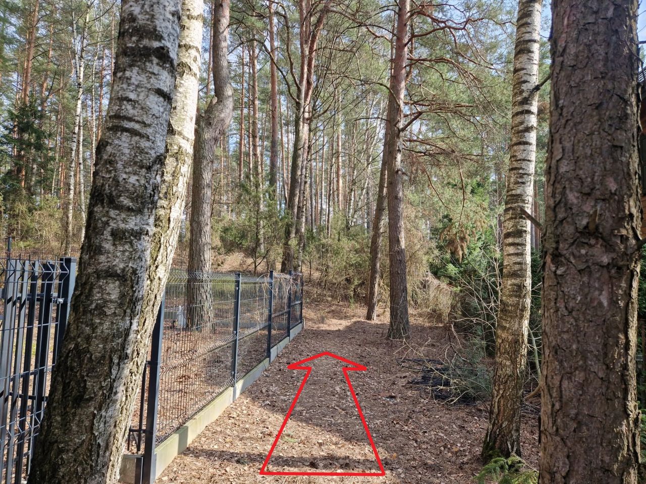 Działka budowlana Augustów Wójtowskie Włóki, ul. Lasanek. Zdjęcie 2