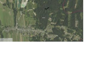 Działka leśna Bielcza