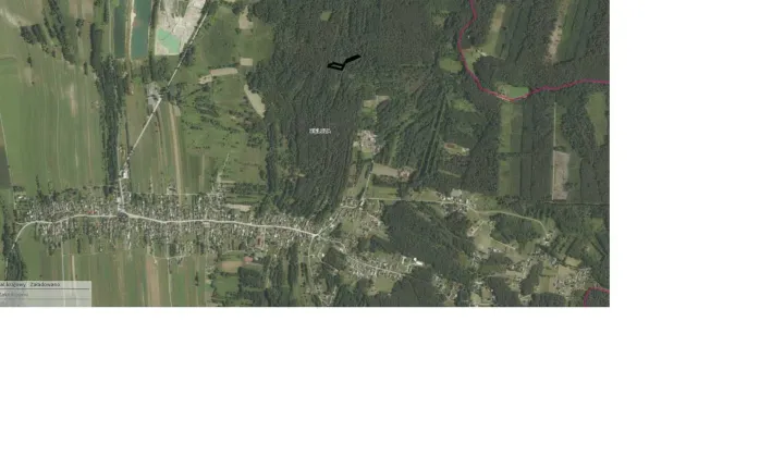 Działka leśna Bielcza