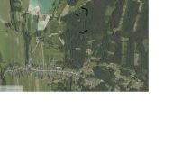 Działka leśna Bielcza