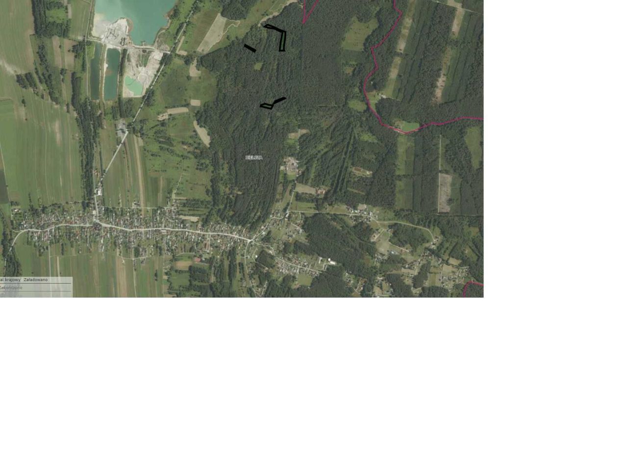 Działka leśna Bielcza