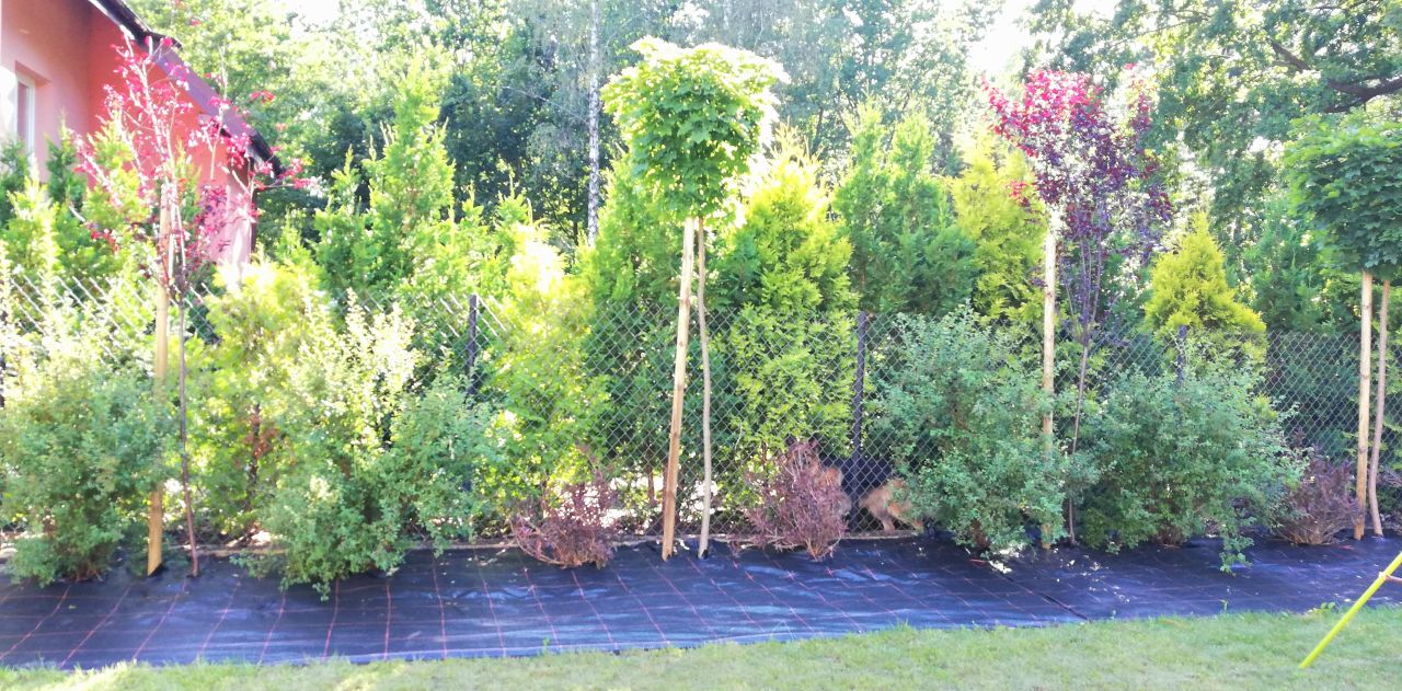 dom wolnostojący, 5 pokoi Warszawa Wawer, ul. Izbicka. Zdjęcie 19