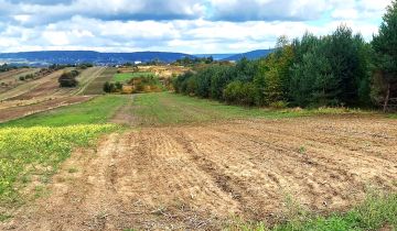 Działka rolno-budowlana Radlin