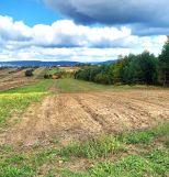 Działka rolno-budowlana Radlin. Zdjęcie 1