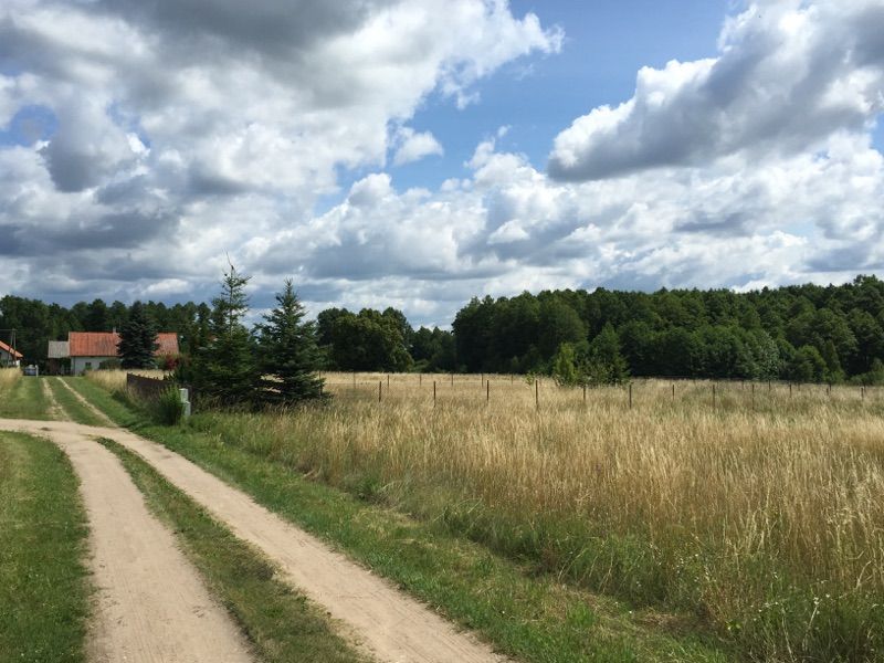 Działka budowlana Ogonki, ul. Letniskowa. Zdjęcie 2