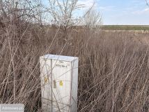 Działka rolno-budowlana Tomaszowice. Zdjęcie 2