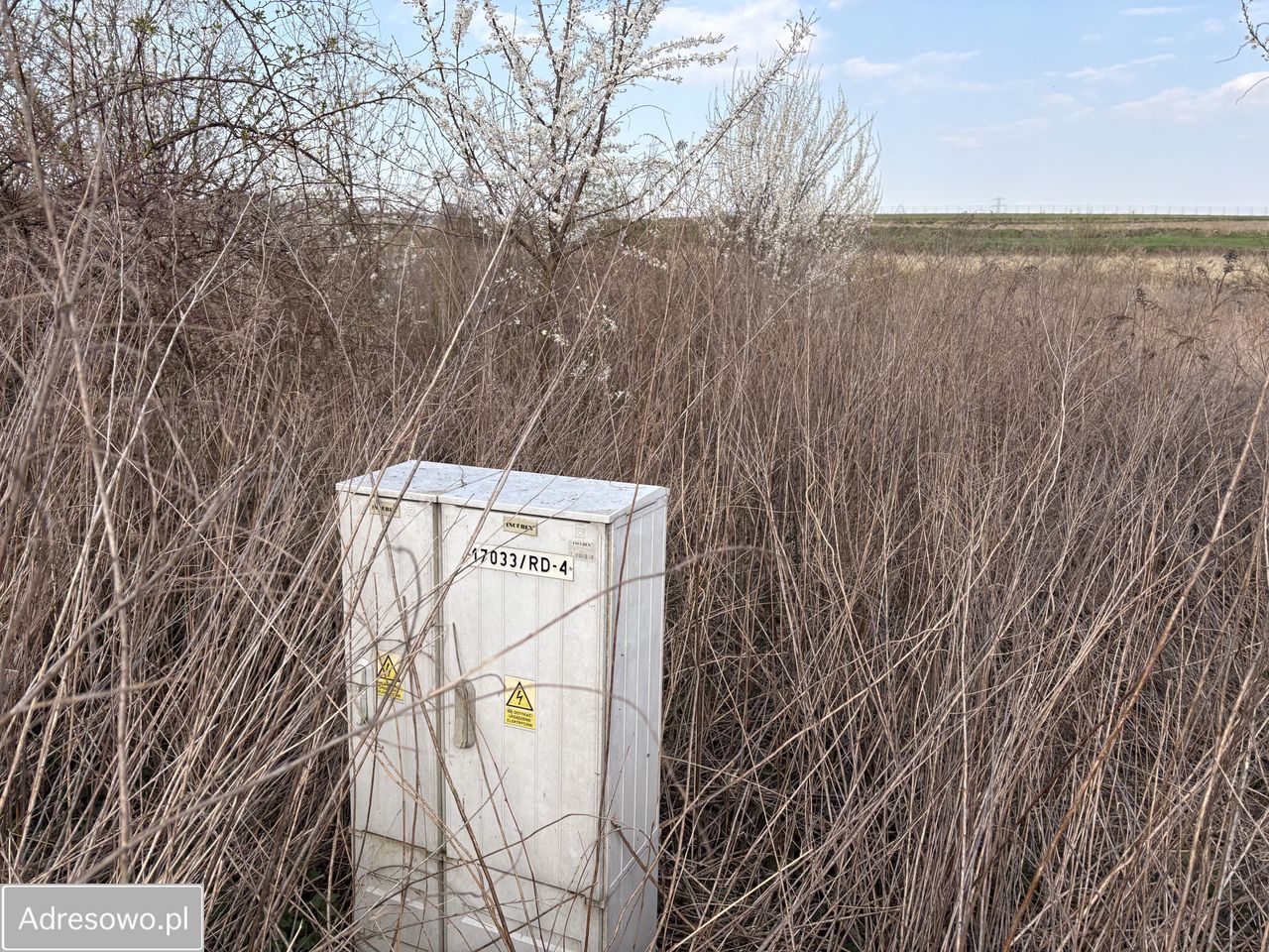 Działka rolno-budowlana Tomaszowice. Zdjęcie 3