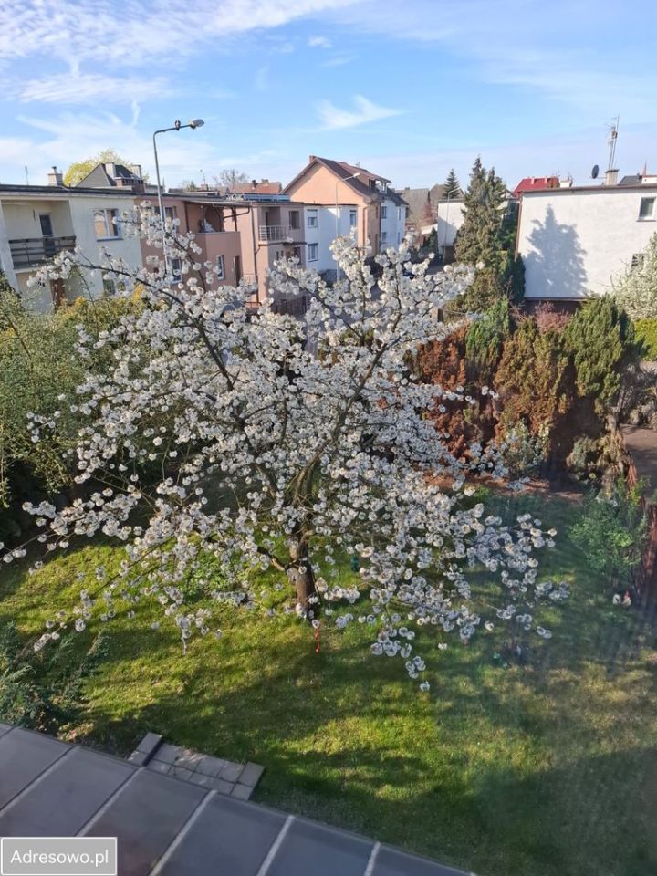 dom wolnostojący, 4 pokoje Szczecin Dąbie. Zdjęcie 12