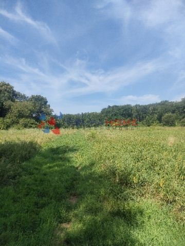 Działka rolno-budowlana Łoś. Zdjęcie 4