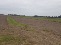 Działka rolna Komsin. Zdjęcie 1