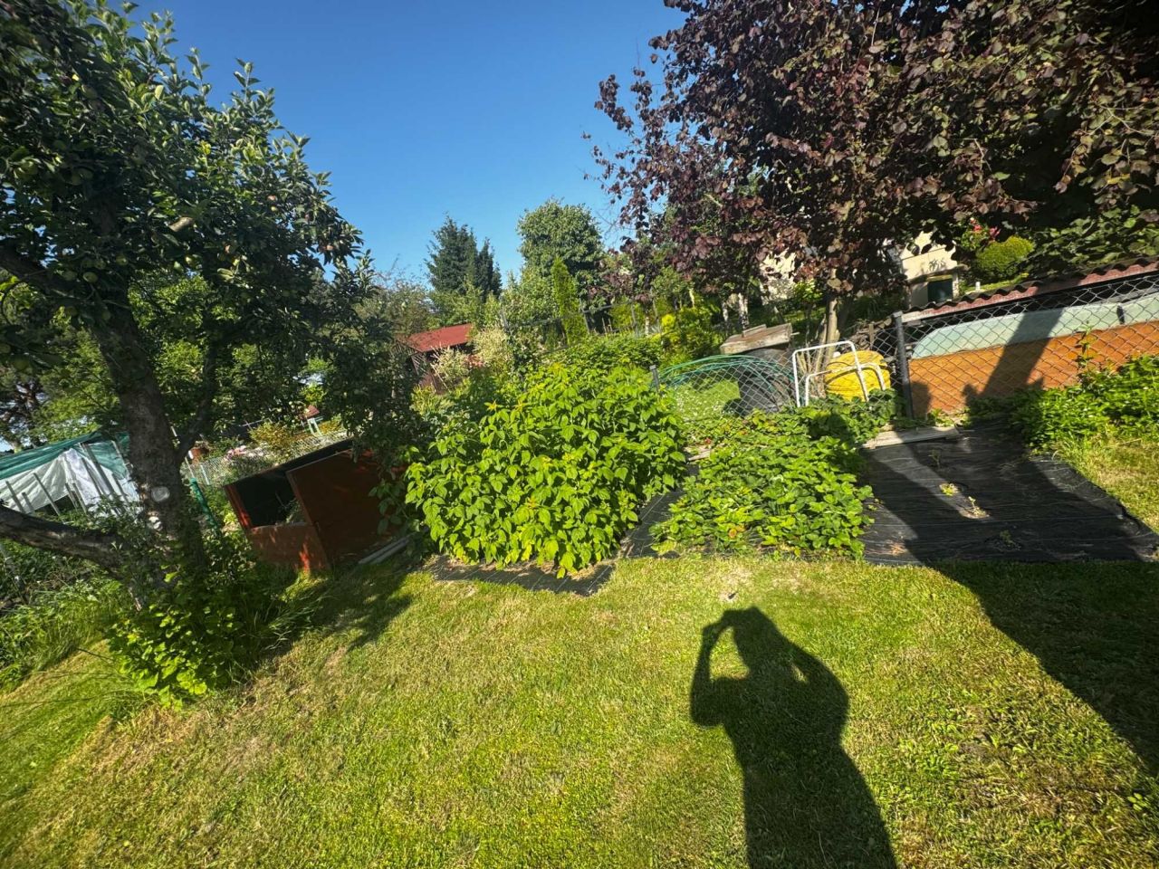 Działka rod Grzybiany. Zdjęcie 8