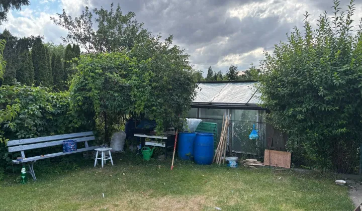 Działka rod Piotrków Trybunalski, ul. Wilcza