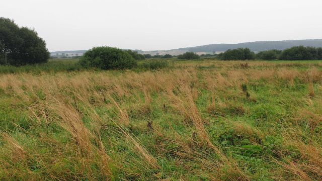 Działka rolna Michalów-Kolonia. Zdjęcie 1