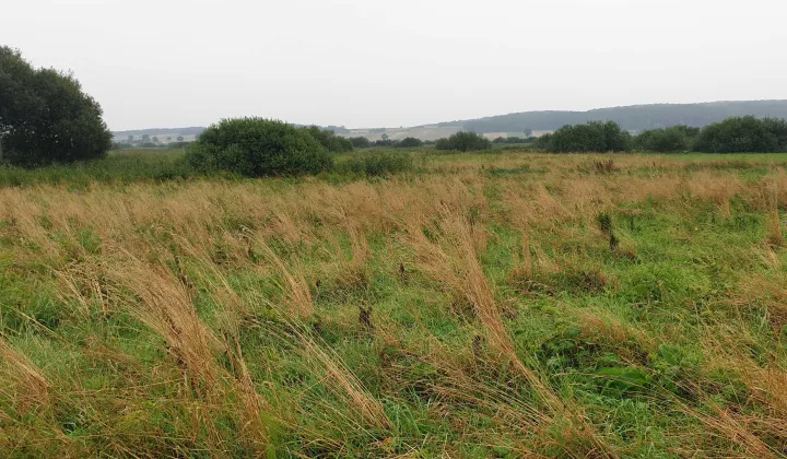Działka rolna Michalów-Kolonia