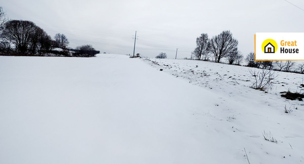 Działka rolna Jastrzębie-Zdrój Bzie Górne. Zdjęcie 4