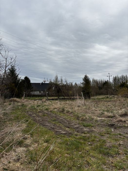 Działka siedliskowa Zdrzewno. Zdjęcie 7