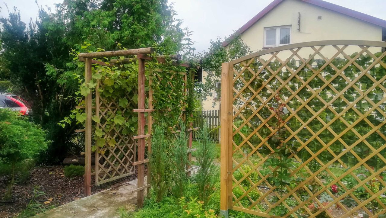 Działka rod Annowo. Zdjęcie 5